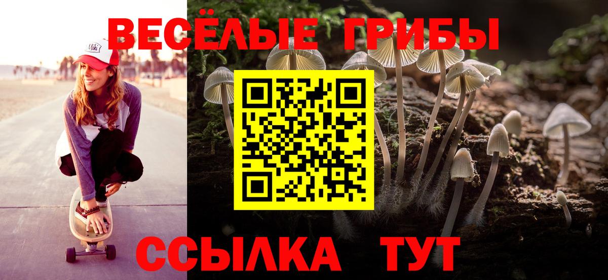 Псилоцибиновые грибы Psilocybine cubensis Кингисепп