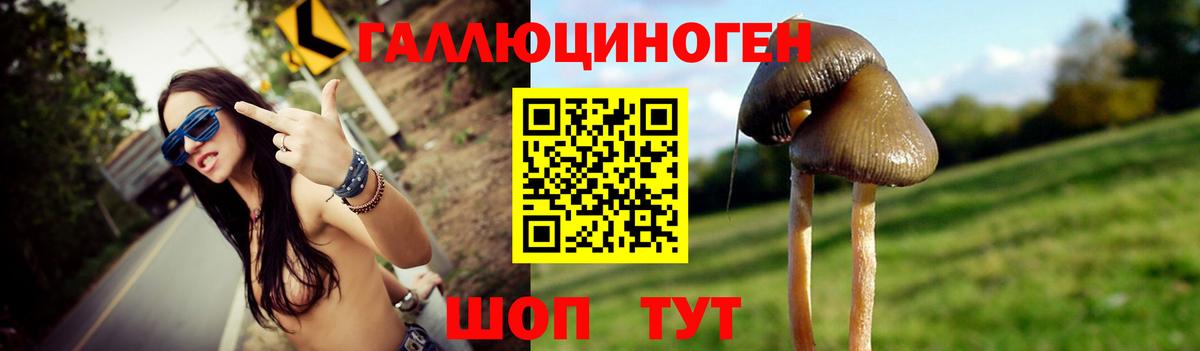 Псилоцибиновые грибы MAGIC MUSHROOMS  Вход с VPN  Псилоцибиновые грибы GOLDEN TEACHER  Кингисепп 