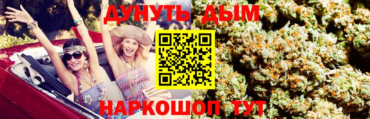 Каннабис SATIVA & INDICA Кингисепп